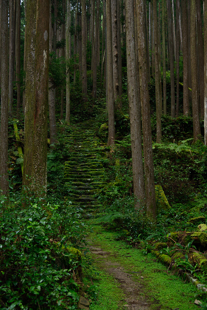Kumanokodo stairs 熊野古道