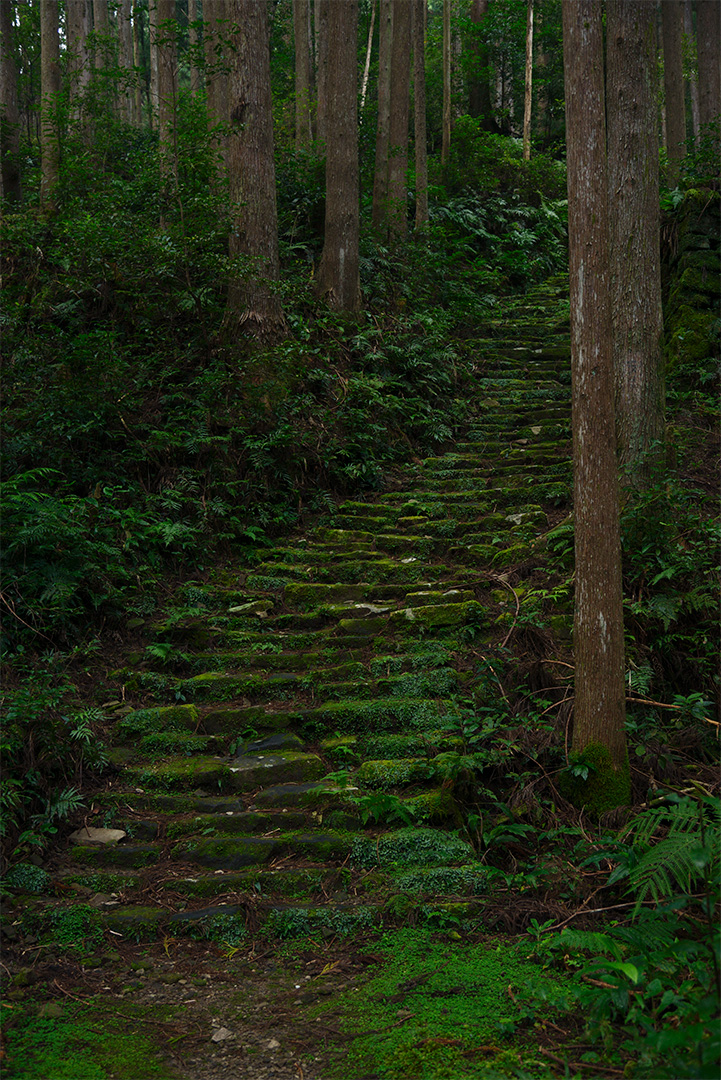 Kumanokodo stairs 熊野古道