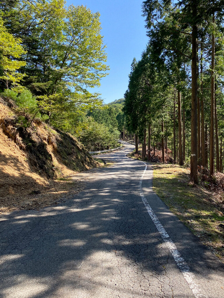 熊野古道 小辺路 Kumanokodo road mountains pine trees